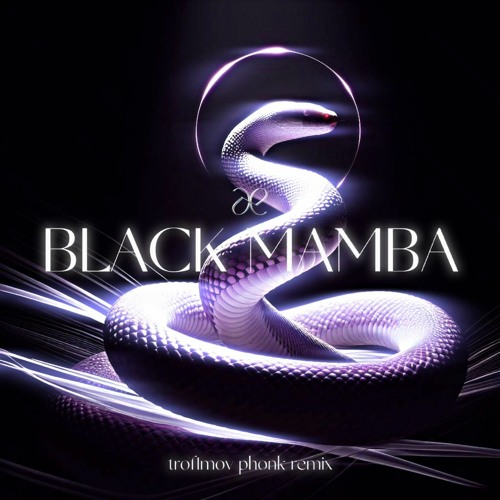 ภาพปกอัลบั้มเพลง aespa - BLACK MAMBA (trof1mov phonk remix)