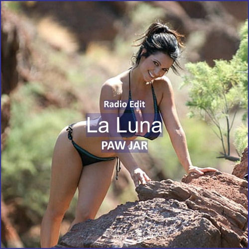 ภาพปกอัลบั้มเพลง PAW JAR - LA LUNA Car Music & G-House Music