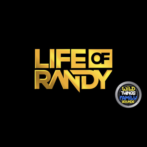 ภาพปกอัลบั้มเพลง Raja Ko Rani Se - DJ Randy