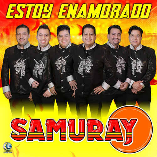 ภาพปกอัลบั้มเพลง Estoy Enamorado