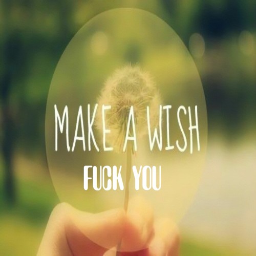 ภาพปกอัลบั้มเพลง Make A Wish Fuck You