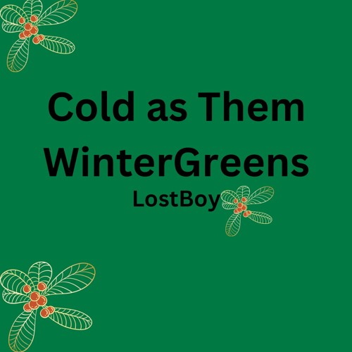 ภาพปกอัลบั้มเพลง Cold as Them WinterGreens - LostBoy (ft. LostOsiris)