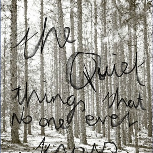 ภาพปกอัลบั้มเพลง The Quiet Things That No One Ever Knows - Radical Rhapsody Vocal Cover (Brand New)