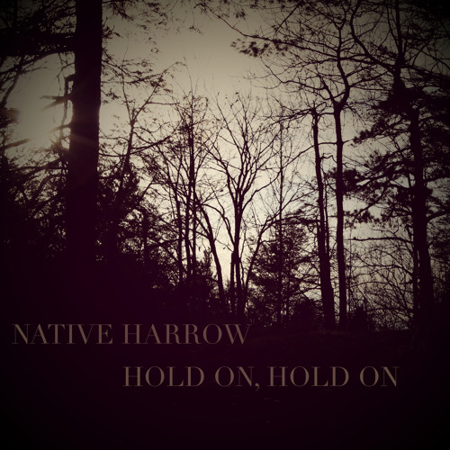 ภาพปกอัลบั้มเพลง Hold On Hold On (Neko Case Cover)
