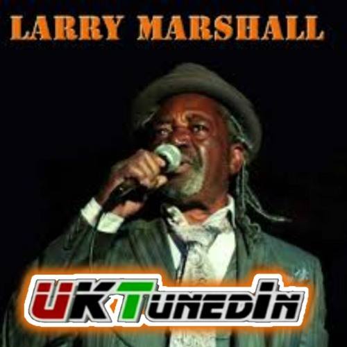 ภาพปกอัลบั้มเพลง Larry Marshall - Heavy Heavy Load - Young Rek DL Riddim UKTunedInMix