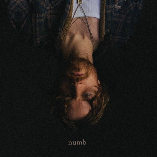 ภาพปกอัลบั้มเพลง Numb