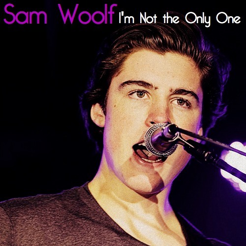 ภาพปกอัลบั้มเพลง I'm Not The Only One - Live (Sam Woolf - Sam Smith cover)