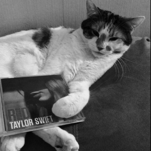 ภาพปกอัลบั้มเพลง Taylor Swift - Blank Space (official)