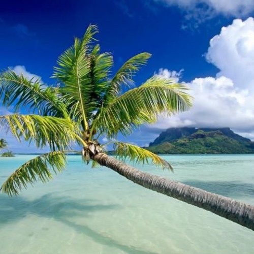 ภาพปกอัลบั้มเพลง Paradize island(เกาะสวาทหาดสวรรค์) )