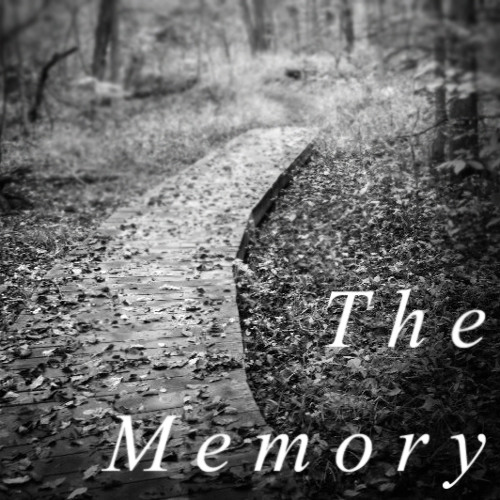 ภาพปกอัลบั้มเพลง The Memory