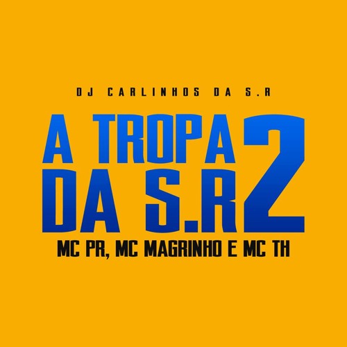 ภาพปกอัลบั้มเพลง MC PR MC MAGRINHO E MC TH - A TROPA DA S.R 2 ( DJ CARLINHOS DA S.R )