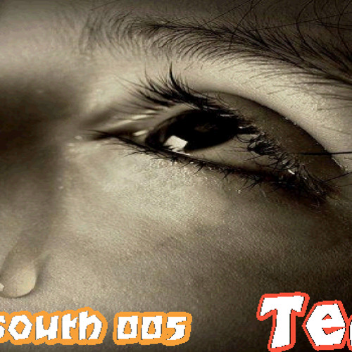 ภาพปกอัลบั้มเพลง DJ South 005 (Tear)