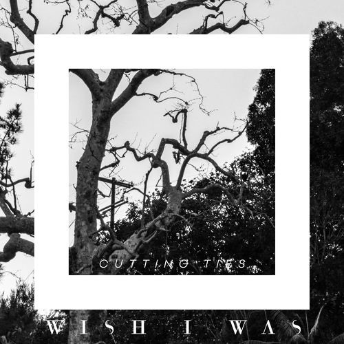 ภาพปกอัลบั้มเพลง W I S H I W A S feat. Cameron Walker - Cutting Ties (Bungstep Remix)