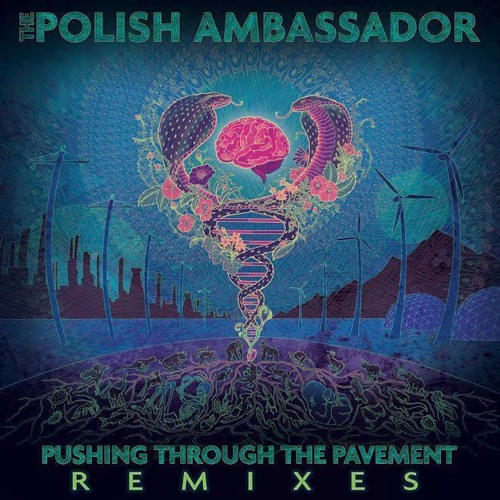 ภาพปกอัลบั้มเพลง The Polish Ambassador - Let The Rhythm Just ft. Mr. Lif & Ayla Nereo (Mr. Rogers Remix)