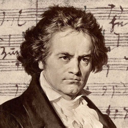 ภาพปกอัลบั้มเพลง Ode to Joy - Ludwig van Beethoven (Bansuri)