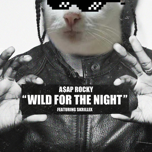 ภาพปกอัลบั้มเพลง A$AP Rocky Ft Skrillex Wild For The Night (Name Bootleg)