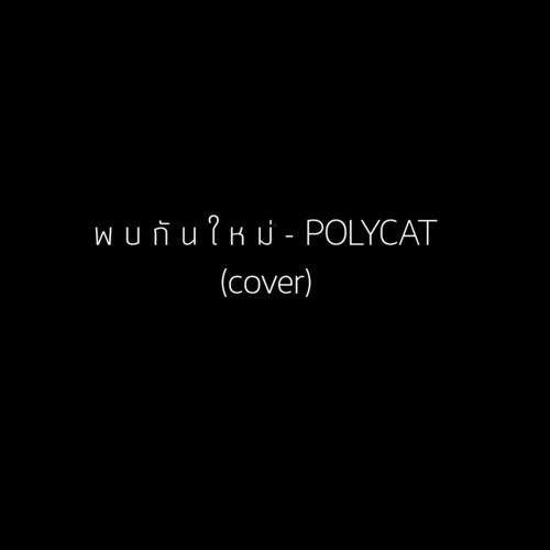 ภาพปกอัลบั้มเพลง พบกันใหม่ - Polycat Acoustic (cover)