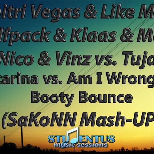 ภาพปกอัลบั้มเพลง Dimitri Vegas & Like Mike & Klaas Vs. Nico Vs.Tujamo - Ocarina Vs. Am I Wrong Booty(SaKoNN Mashup)