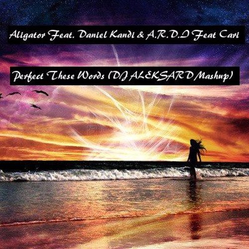 ภาพปกอัลบั้มเพลง Aligator Feat. Daniel Kandi & A.R.D.I Feat Cari – Perfect These Words (Intro Mashup Mix By ALEKSARD)