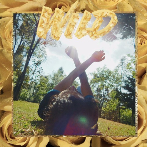 ภาพปกอัลบั้มเพลง Wild (Blue Neighbourhood 1 - 3) Troye Sivan Cover