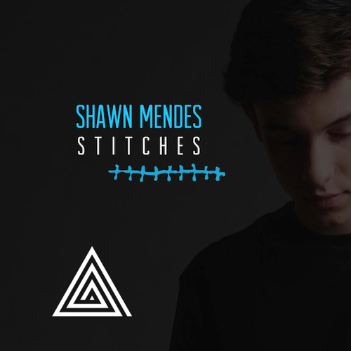 Stitches - Shawn Mendes Hailee Steinfeld Cover ( Tropical House Levi Remix) FREE DOWNLOAD