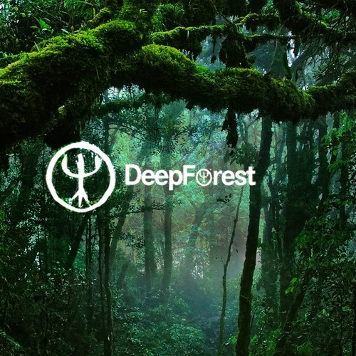 ภาพปกอัลบั้มเพลง L4M Deep Forest - Forest Hymn (Luke Selfhood Forest Mix)
