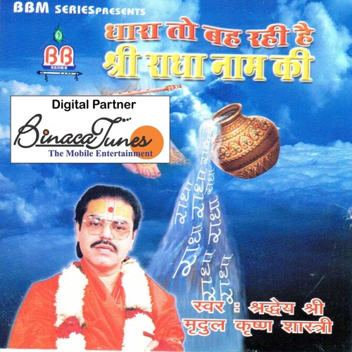 ภาพปกอัลบั้มเพลง Rang Mein Kaise Holi