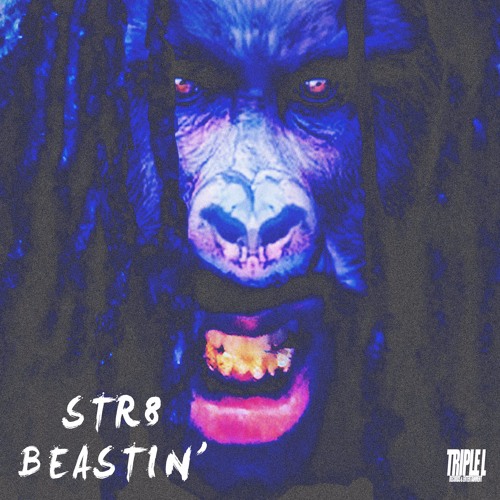 ภาพปกอัลบั้มเพลง DJ Beats Beast - Beats Beast (Feat. Hollywood) Prod. By Beats Beast