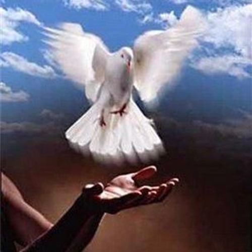 ภาพปกอัลบั้มเพลง Holy Spirit Holy Spirit You Are Welcome Here Your Presence Lord Mp3 7056