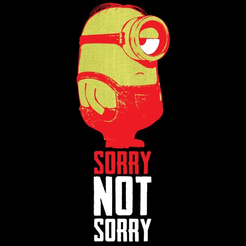 ภาพปกอัลบั้มเพลง Ru - Im Not Sorry - Sorry Not Sorry (cover)