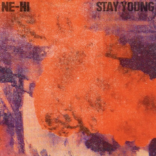 ภาพปกอัลบั้มเพลง Stay Young