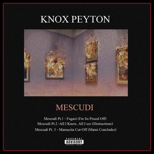 ภาพปกอัลบั้มเพลง Knox Peyton - S.F.W.T.W.C. (Feat. Asante Paulson & Tom Azhar)