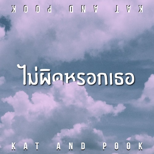 ภาพปกอัลบั้มเพลง KAT & POOK - ไม่ผิดหรอกเธอ (Cover)