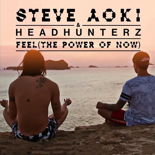 ภาพปกอัลบั้มเพลง Steve Aoki & Headhunterz - Feel (The Power Of Now) (Original Mix)