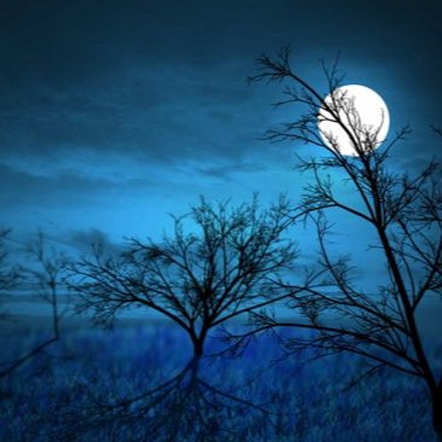 ภาพปกอัลบั้มเพลง Ánh Trăng Nói Hộ Lòng Tôi The Moon Represents My Heart 月亮代表我的心 Piano Cover DoeHehe