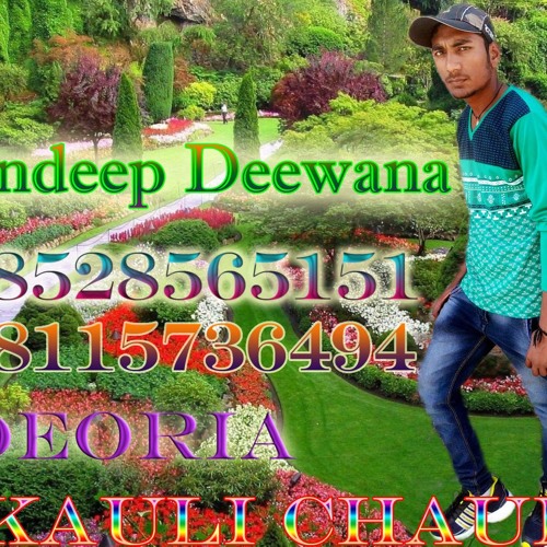 ภาพปกอัลบั้มเพลง Rate Diya Buta Ke Piya Kya kya Kiya DJ Sandeep Deewana ApanSinger.IN