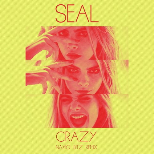 ภาพปกอัลบั้มเพลง Seal - Crazy (Nayio Bitz Remix)