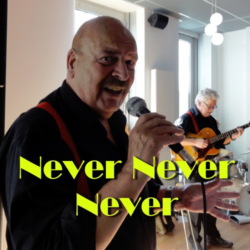 ภาพปกอัลบั้มเพลง Never Never Never - Shirley Bassey - cover by Wim