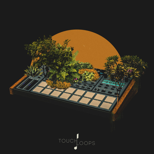 ภาพปกอัลบั้มเพลง Touch Loops -anic Top Loops Samples & Loops