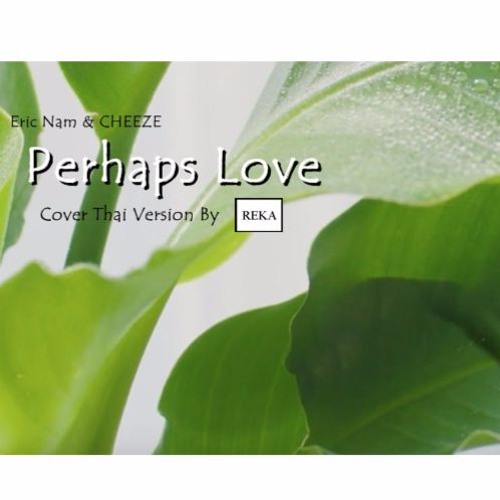 ภาพปกอัลบั้มเพลง Thai ver. Eric Nam CHEEZE - Perhaps Love l Cover by REKA (Short Ver.)