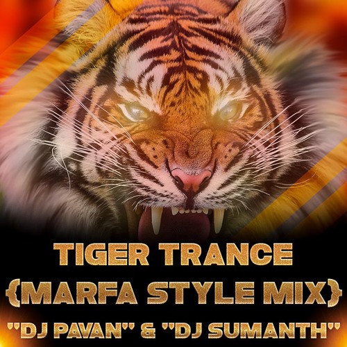ภาพปกอัลบั้มเพลง Tiger Trance '' Marfa'' 2017 Mix Dj Pavan N Dj sumanth
