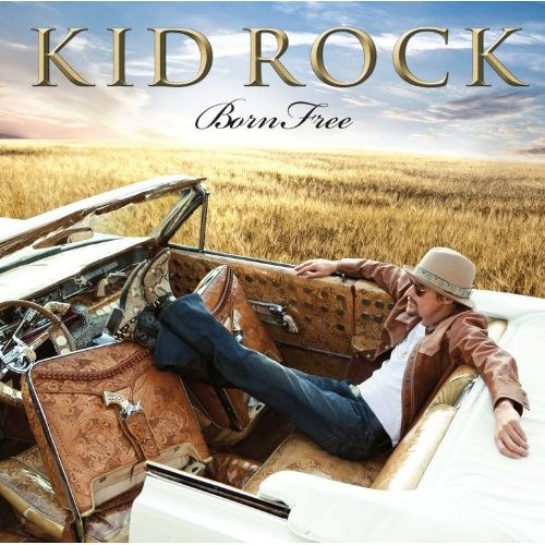 ภาพปกอัลบั้มเพลง Kid Rock - Rock Bottom Blues