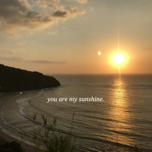 ภาพปกอัลบั้มเพลง you are my sunshine my only sunshine.
