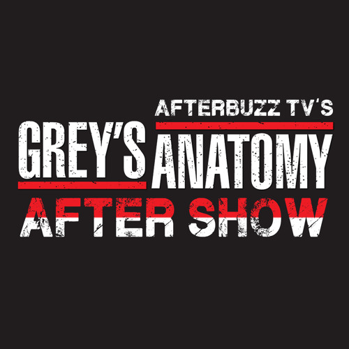 ภาพปกอัลบั้มเพลง Grey’s Anatomy S 12 There’s A Fine Fine Line It’s All Right Ma I’m Only Bleeding E 18 & E 19 AfterBuzz TV AfterShow