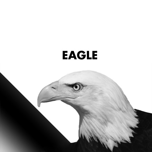 ภาพปกอัลบั้มเพลง Eagle