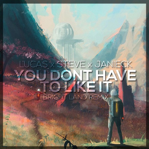 ภาพปกอัลบั้มเพลง Lucas & Steve Feat. Janieck - You Don't Have To Like It (Bright Land Remix)