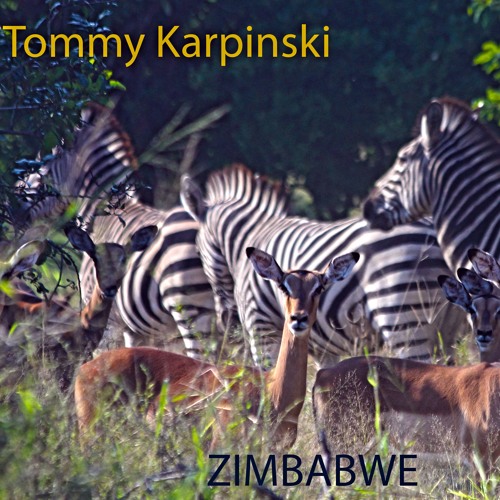 ภาพปกอัลบั้มเพลง ZIMBABWE