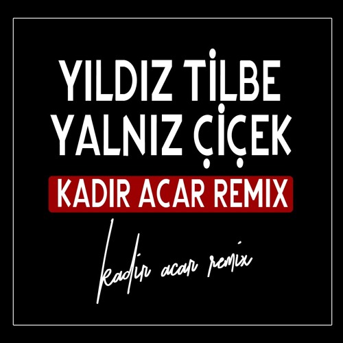 ภาพปกอัลบั้มเพลง Yıldız Tilbe - Yalnız Çiçek (Kadir ACAR Remix)