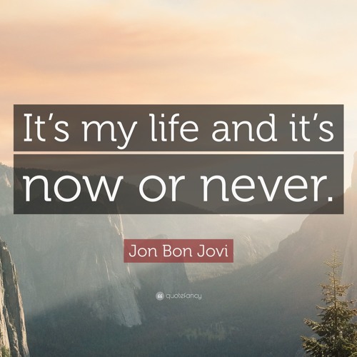 ภาพปกอัลบั้มเพลง Bon Jovi It's My Life Cover