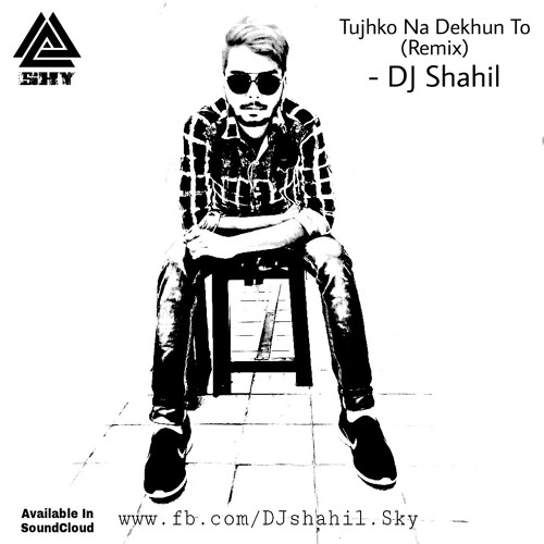 ภาพปกอัลบั้มเพลง Tujhko Na Dekhun To (Remix) - DJ Shahil